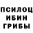 COCAIN Эквадор Noah Harrington