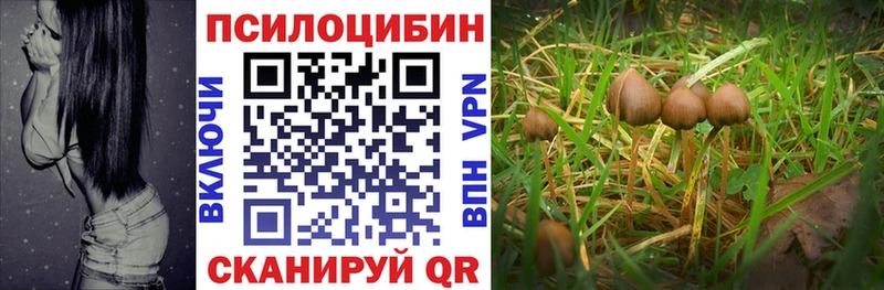 это формула  Курск  Галлюциногенные грибы прущие грибы 