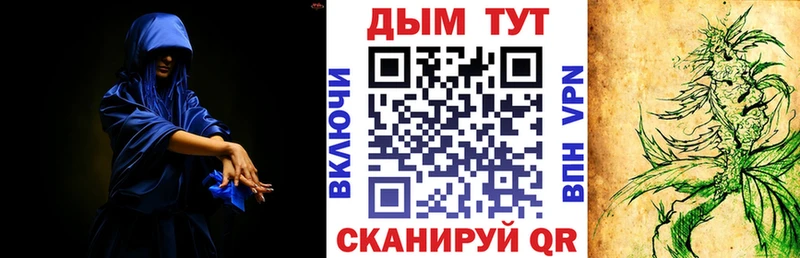 KRAKEN как зайти  Курск  нарко площадка наркотические препараты  цена наркотик  Бошки Шишки LSD WEED 